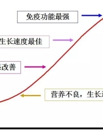 饲料营养程度和猪生长的关系