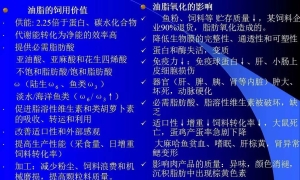 影响饲料营养有效性和适口性的负面影响因子
